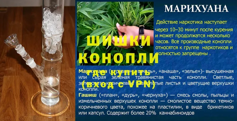 Бошки марихуана план  Заводоуковск 